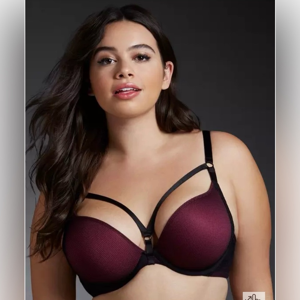 Torrid Fishnet Push-up Plunge Bra